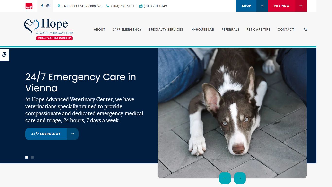 Animal Hospital Vienna, VA | Hope Advanced Veterinary Center