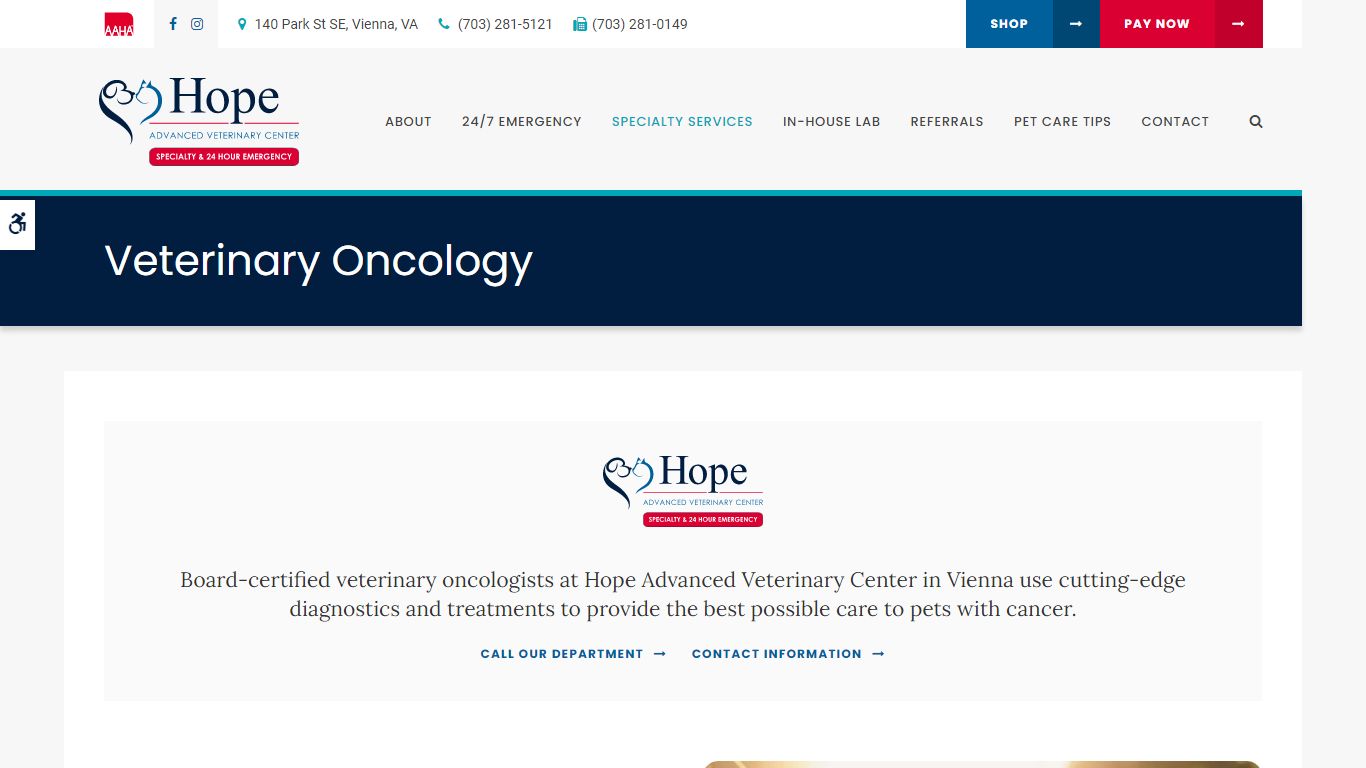 Veterinary Oncology in Vienna | Pet Cancer Care Center